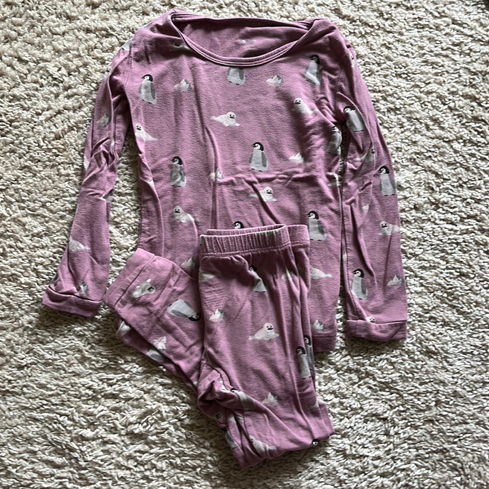 Kyte Mulberry Antarctic two piece long sleeve toddler pajama set